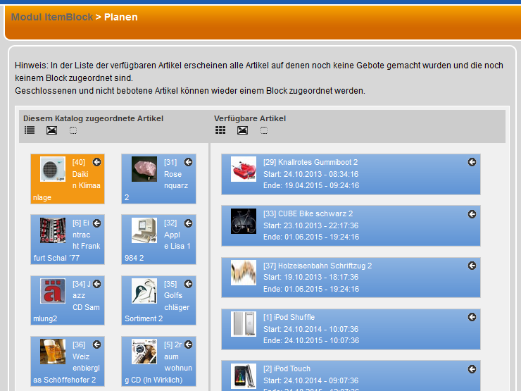 Auktionskatalog online zusammenstellen, Ansicht